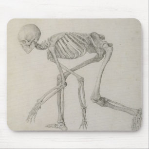 Human Skeleton: Lateral view in Crouching Posture, Mouse Mat