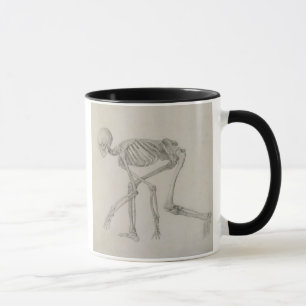 Human Skeleton: Lateral view in Crouching Posture, Mug