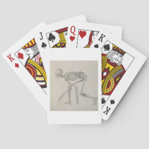Human Skeleton: Lateral view in Crouching Posture, Playing Cards