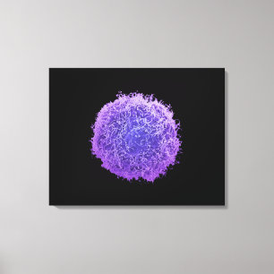Human Skin Cancer Cell Canvas Print
