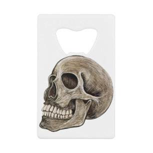 Human Skull