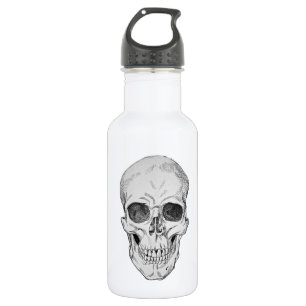 Human Skull Anatomical Illustration (Frontal View) 532 Ml Water Bottle