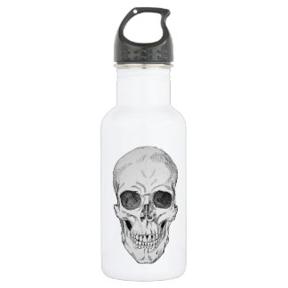 Human Skull Anatomical Illustration (Frontal View) 532 Ml Water Bottle