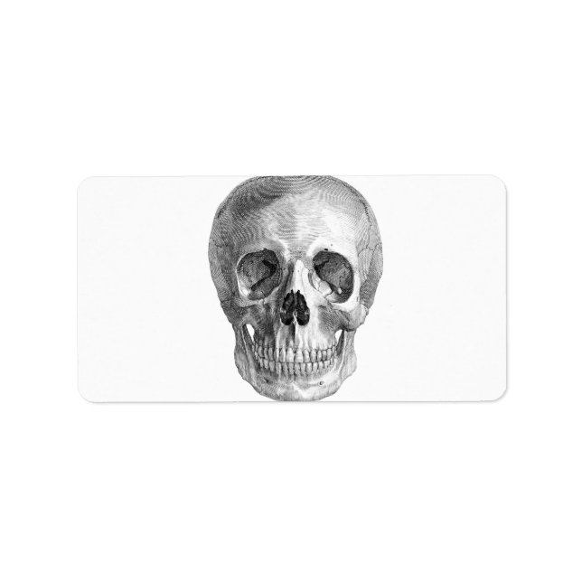 Human skull anatomy sketch drawing label (Front)