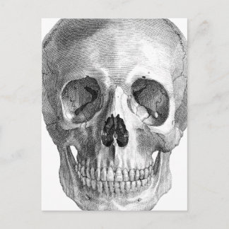 Human skull anatomy sketch drawing postcard