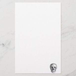 Human skull anatomy sketch drawing stationery