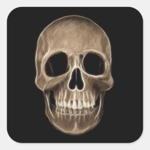 Human Skull Halloween X-Ray Skeleton Square Sticker