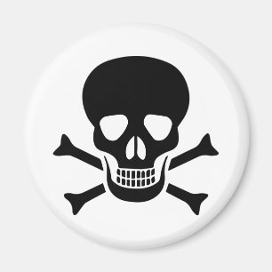 Human skull magnet