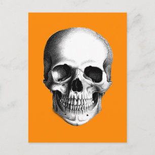 Human Skull on Halloween Orange Postcard
