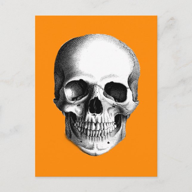 Human Skull on Halloween Orange Postcard (Front)