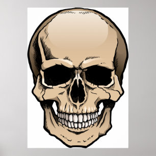 Human Skull Poster