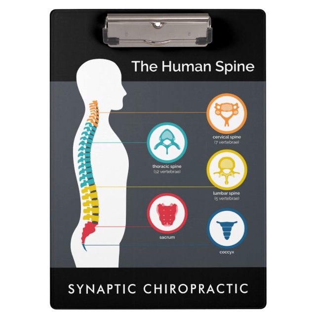 Human Spine Anatomy Chart Chiropractic Clipboard (Front)