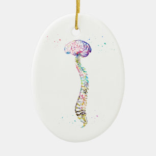 Human Spine with Brain Ceramic Tree Decoration