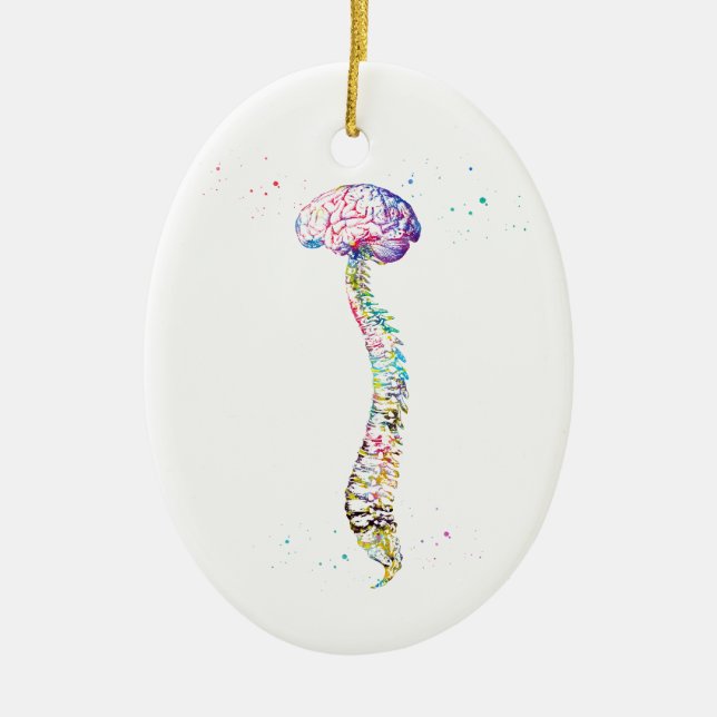 Human Spine with Brain Ceramic Tree Decoration (Front)