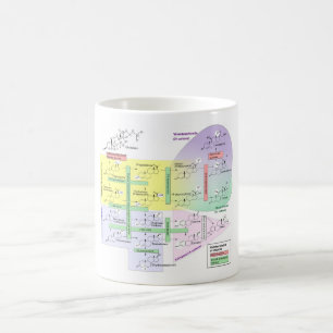Human Steroidogenesis Diagram Biological Chemical  Coffee Mug