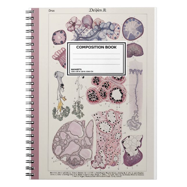 Human Tissue Histology Atlas Notebook (Front)