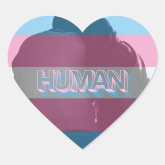 Human Trans Pride Stickers