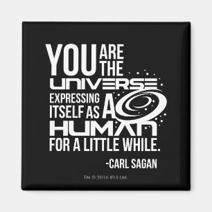 Human Universe Magnet