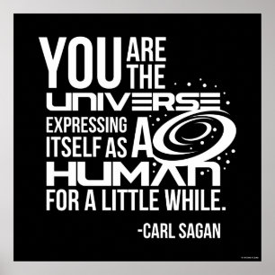 Human Universe Poster