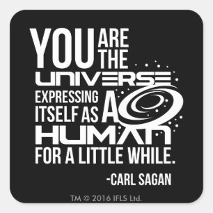 Human Universe Square Sticker