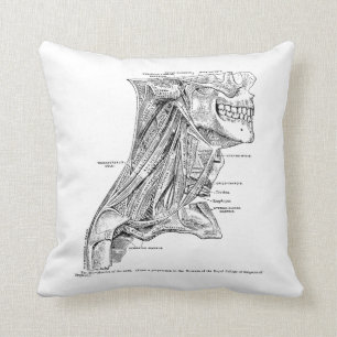 Human Vintage Anatomy Muscles of the Neck Cushion