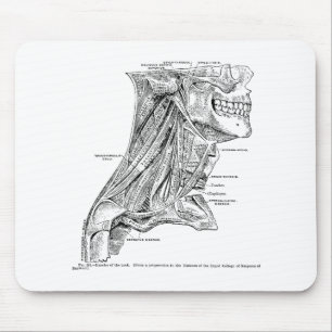 Human Vintage Anatomy Muscles of the Neck Mouse Mat