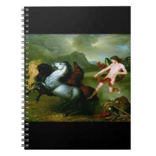 Humanitarian Spirit circa 1793 Notebook