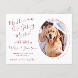 Humans Getting Married Photo Pet Wedding Rose Gold Announcement Postcard