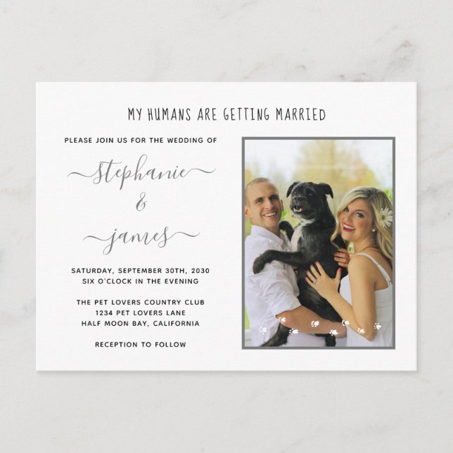 Humans Getting Married Silver Pet Photo Wedding Invitation Postcard (Front)