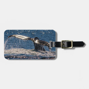 Humback Whale Luggage Tag - Tail Fluke
