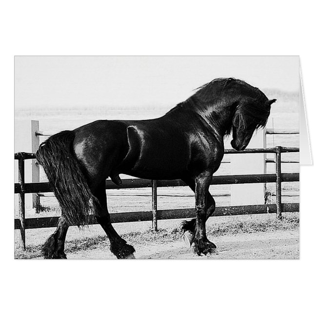 Humble (Front Horizontal)