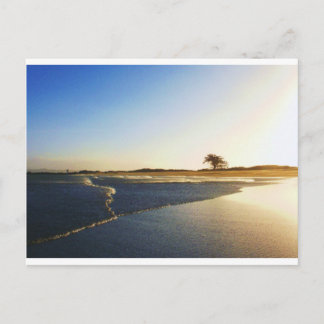 Humboldt Bay  Eureka  Ca. 2 Postcard