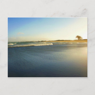 Humboldt Bay, Eureka, Ca. Postcard