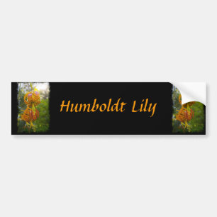 Humboldt Lilies Sunburst Bumper Sticker