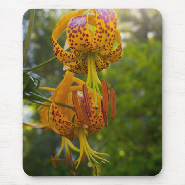 Humboldt Lilies Sunburst Mouse Mat (Front)