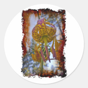 Humboldt Lily Classic Round Sticker