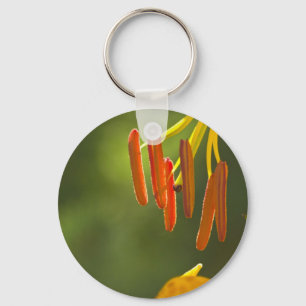 Humboldt Lily Stamens Key Ring