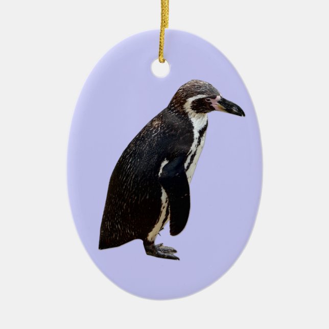 Humboldt Penguin Hanging Pendant Ornament (Front)