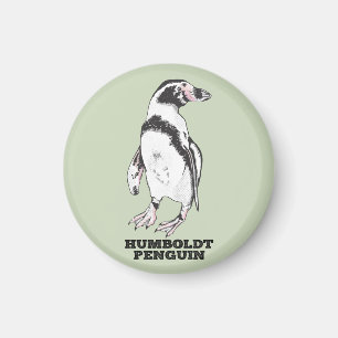 Humboldt penguin magnet