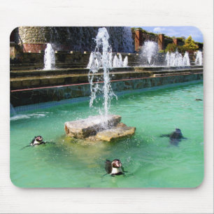 Humboldt penguins and fountains bird mouse mat