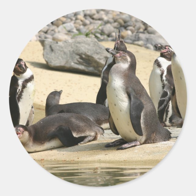 Humboldt Penguins Classic Round Sticker (Front)