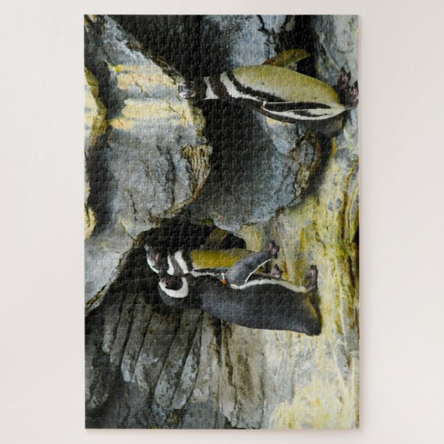 Humboldt Penguins. Jigsaw Puzzle (Vertical)