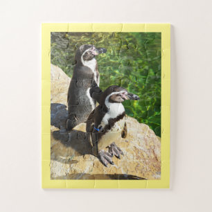 Humboldt penguins jigsaw puzzle