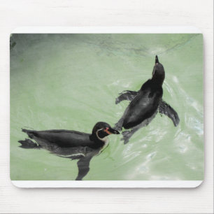 Humboldt penguins mouse mat