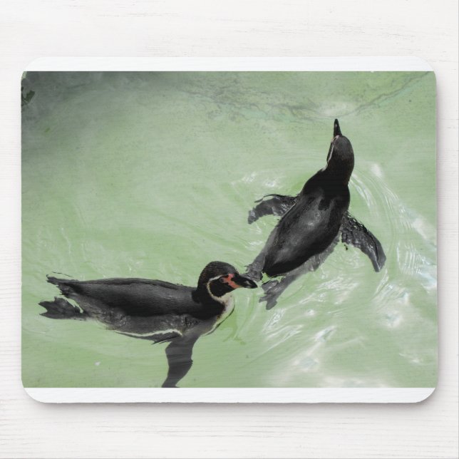 Humboldt penguins mouse mat (Front)