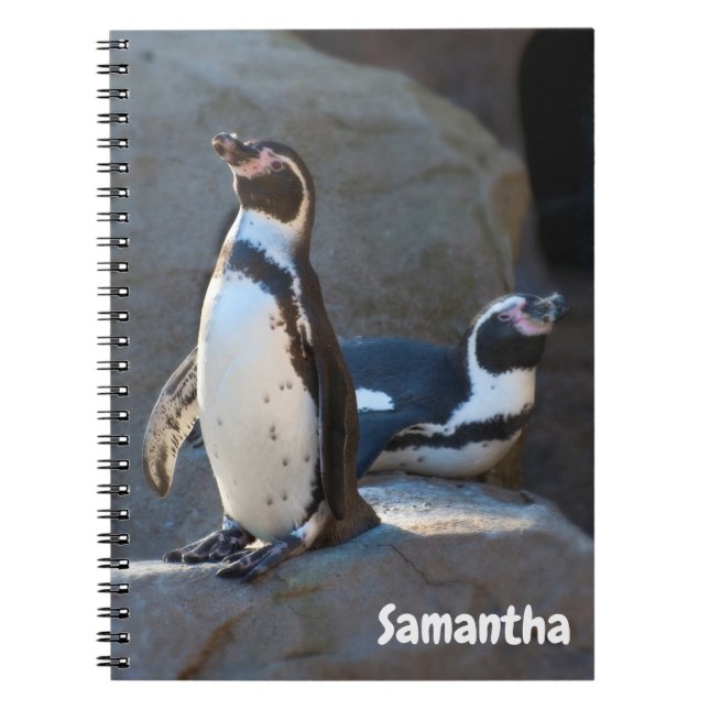 Humboldt Penguins Spiral notebook (Front)