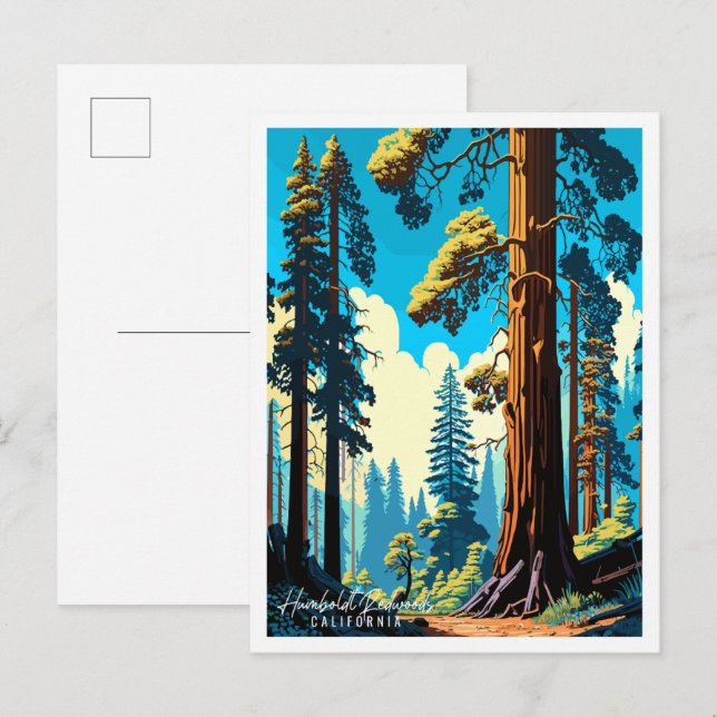 Humboldt Redwoods California USA vintage travel  Postcard (Front/Back)
