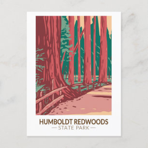 Humboldt Redwoods State Park Avenue of the Giants Postcard