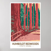 Humboldt Redwoods State Park Avenue of the Giants 