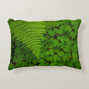 Humboldt Redwoods State Park Decorative Cushion